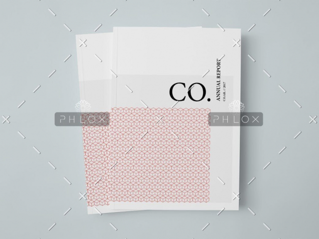 demo-attachment-18-CO.-Annual-Report